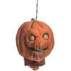 Image de CHAKS - Pompoenhoofd Hangdecoratie 20cm