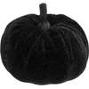 Image de CHAKS - Zwart fluwelen pompoen 7 cm