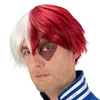 Image de Shoto Todoroki Pruik My Hero Academia