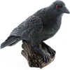 Image de Chaks Raaf/kraai - op boomstronk - zwart - 17 cm - Halloween decoratie dieren