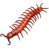 Image de Chaks nep duizendpoot 45 cm - rood - 1x - horror/griezel thema decoratie