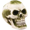 Image de CHAKS - Schedel met harsschuim 7cm