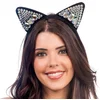 Image de Diamanten kattenhoofdband