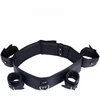 Image de leren arm, pols en borst beperkingen - zwart