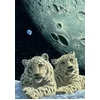Image de Grafika puzzel Schim Schimmel - Lair of the Snow Leopard - 1500 stukjes dieren.