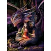 Image de Bluebird Puzzle fantasie Anne Stokes Spirit Dragon 1000 stukjes.