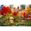 Image de Bluebird Puzzle legpuzzel Central Park NYC - 2000 stukjes puzzel.