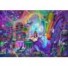Image de Bluebird Puzzle legpuzzel Rainbow Magic Study 1000 stukjes fantasie.