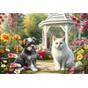 Image de Bluebird Puzzle dieren legpuzzel Companions in the Garden 1000 stukjes.