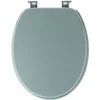 Image de Tendance Toiletbril Breeze - zeegroen - MDF hout - universeel - standaard wc bril