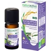 Image de Naturactive Eucalyptus Globulus Etherische Olie (Eucalyptus Globulus Labill) Bio 10 ml