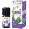 Image de Naturactive Origanum Compact Etherische Olie (Origanum Compactum Benth) 5 ml