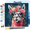 Image de Figured'Art Mini Schilderen op Nummer Volwassenen 20x20cm met lijst Modieuze lama met bloemen - Klein Formaat Creatieve Hobby Kit DIY Art Nummer Compleet