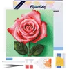 Image de Figured'Art Mini Diamond Painting set Volwassenen 25x25 cm met lijst Oogverblindende Roze Roos - 5D DIY Art full drill ronde diamant - Canvas al ingelijst