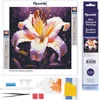 Image de Figured'Art Mini Diamond Painting set Volwassenen 25x25 cm Lelie Bloesem - 5D DIY Art full drill ronde diamant - Opgerold canvas