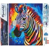 Image de Figured'Art Diamond Painting set Volwassenen 40x50 cm Kleurrijke Abstracte Zebra - 5D DIY Art full drill vierkante diamant - Opgerold canvas