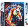 Image de Figured'Art Diamond Painting set Volwassenen 40x50 cm Kleurrijke Abstracte Paard - 5D DIY Art full drill vierkante diamant - Opgerold canvas