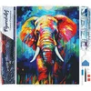 Image de Figured'Art Diamond Painting set Volwassenen 40x50 cm Kleurrijke Abstracte Olifant - 5D DIY Art full drill vierkante diamant - Opgerold canvas