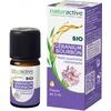 Image de Naturactive Geranium Bourbon Etherische Olie Organisch 5 ml