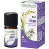 Image de Naturactive Cistus Etherische Olie (Cistus Ladanifer L.) 5 ml