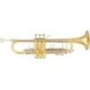 Image de SML Paris TP500 Bb trompet met koffer