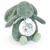 Image de Lapin Doudou - Nachtlampje met Muziek en Projectie Saliegroen (19cm)
