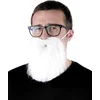 Image de PARTYPRO - Witte hipster baard voor volwassenen