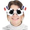 Image de PARTYPRO - Voetbalbril voor volwassenen met Franse vlag