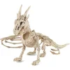 Image de PARTYPRO - Drakenskelet 35cm