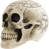 Image de PARTYPRO - Skeletschedel met pentagram 18 x 12 x 15 cm