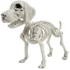 Image de PARTYPRO - Hondenskelet 26cm