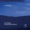 Image de Amir ElSaffar & Lorenzo Bianchi-Hoesch - Inner Spaces (LP)