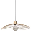 Image de Forestier Colibri Hanglamp Ø56 Small Champagne