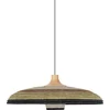Image de Forestier Grass Hanglamp Ø60 Medium Groen
