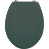 Image de MSV WC Bril - CLEO - Toiletbril - MDF - Groen