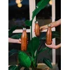 Image de Qwetch - Isothermische fles - Originals Wood- 750ml