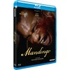 Image de Mandingo
