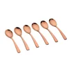 Image de Set van 6 Kleine lepels OGLU - Copper