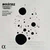 Image de Orchestre National De Lille, Alexandre Bloch - Molécule: Symphonie N° 1 "Quantique" (LP)