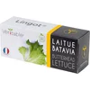 Image de Véritable® Lingot® Organic Butterhead Lettuce - BIO BATAVIA SLA navulling voor alle Véritable® binnenmoestuin-toestellen