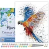 Image de Figured'Art Schilderen op Nummer Volwassenen met lijst - Papegaai in volle vlucht - Handwerk acrylverf Kit DIY Compleet - 40x50cm Canvas al ingelijst