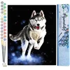 Image de Figured'Art Schilderen op Nummer Volwassenen - Husky canvas acrylverf kit 40x50cm