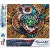 Image de Figured'Art Diamond Painting set Volwassenen 40x50 cm Fantastische uil - 5D DIY Art full drill vierkante diamant - Opgerold canvas
