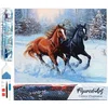 Image de Figured'Art Diamond Painting set Volwassenen 40x50 cm Twee paarden in de winter - 5D DIY Art full drill vierkante diamant - Opgerold canvas