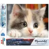 Image de Figured'Art Diamond Painting set Volwassenen 40x50 cm Nieuwsgierige kleine kat - 5D DIY Art full drill vierkante diamant - Opgerold canvas