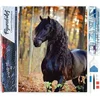 Image de Figured'Art Diamond Painting set Volwassenen 40x50 cm Zwarte merrie - 5D DIY Art full drill vierkante diamant - Opgerold canvas