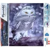 Image de Figured'Art Diamond Painting set Volwassenen 40x50 cm Uilenveer - 5D DIY Art full drill vierkante diamant - Opgerold canvas