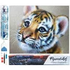 Image de Figured'Art Diamond Painting set Volwassenen 40x50 cm Baby tijger - 5D DIY Art full drill vierkante diamant - Opgerold canvas