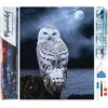 Image de Figured'Art Diamond Painting set Volwassenen 40x50 cm Witte Uil - 5D DIY Art full drill vierkante diamant - Opgerold canvas
