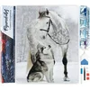 Image de Figured'Art Diamond Painting set Volwassenen 40x50 cm Paard en wolf in de sneeuw - 5D DIY Art full drill vierkante diamant - Opgerold canvas